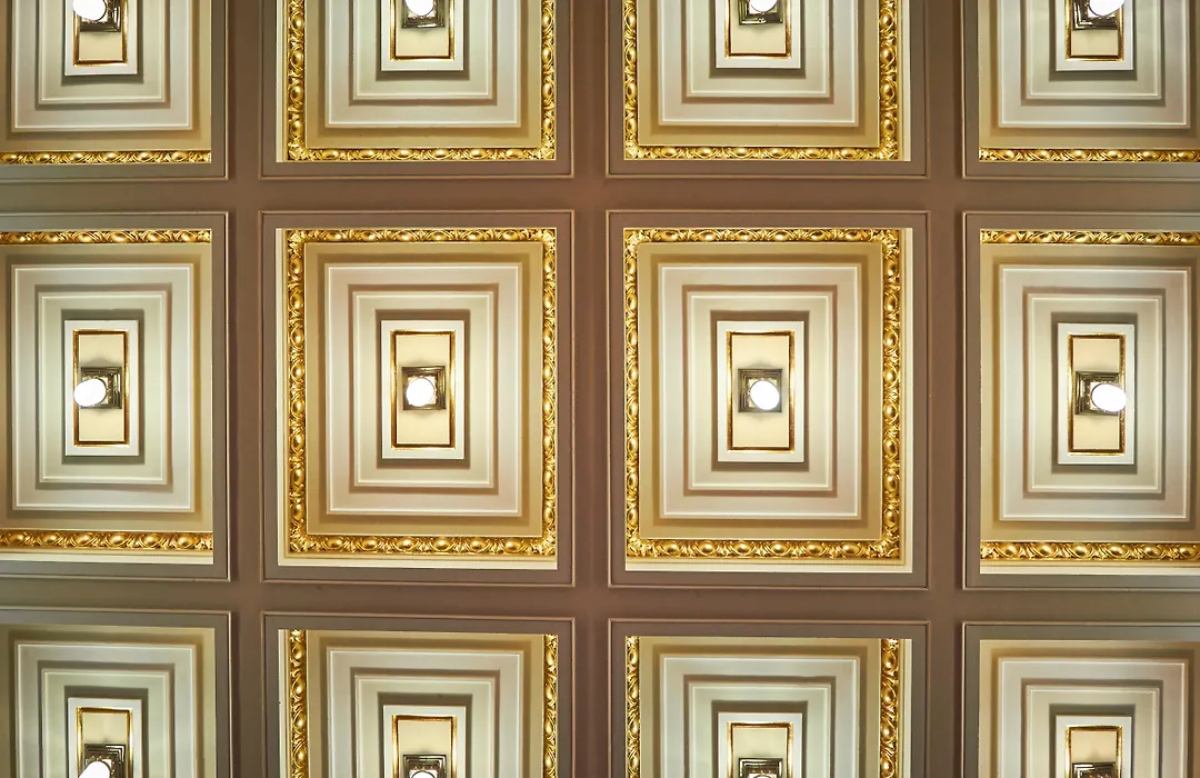 Ambassador Zlata Husa-1
